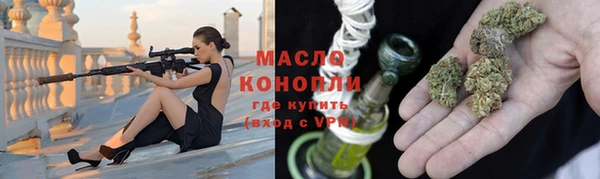 гидра Инсар