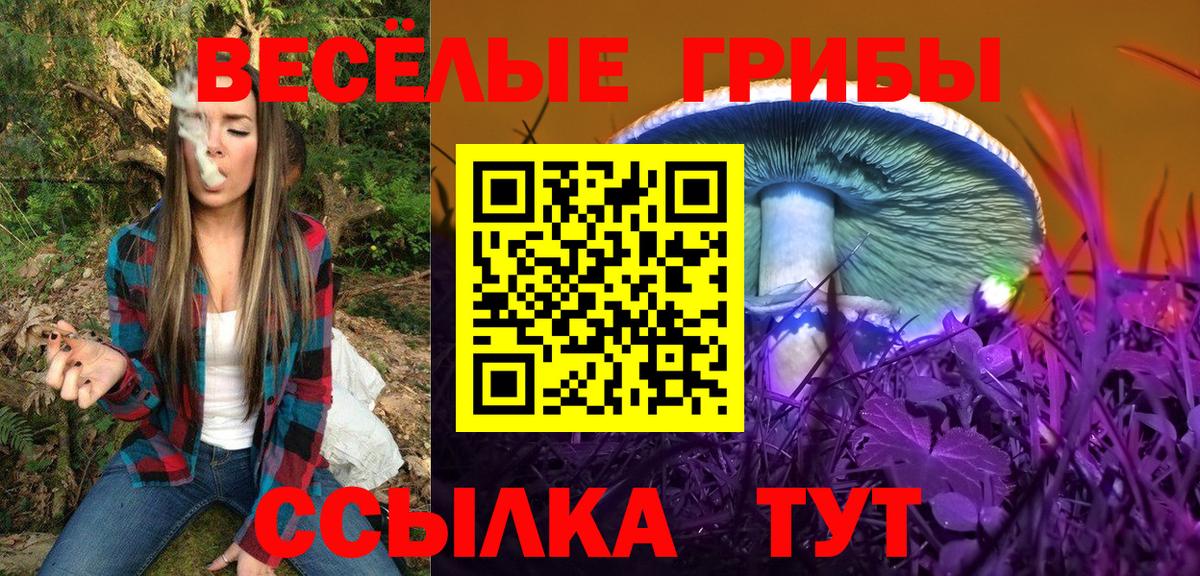 Псилоцибиновые грибы Psilocybe Соль-Илецк